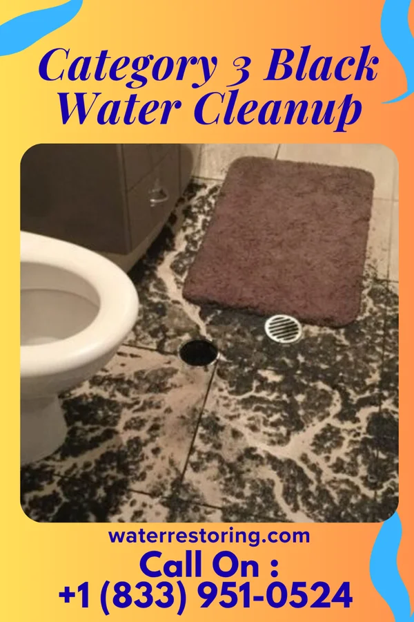 Category 3 Black Water Cleanup in Snyder, OK