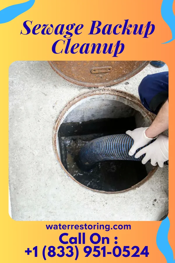 Sewage Backup Cleanup in Snyder, OK
