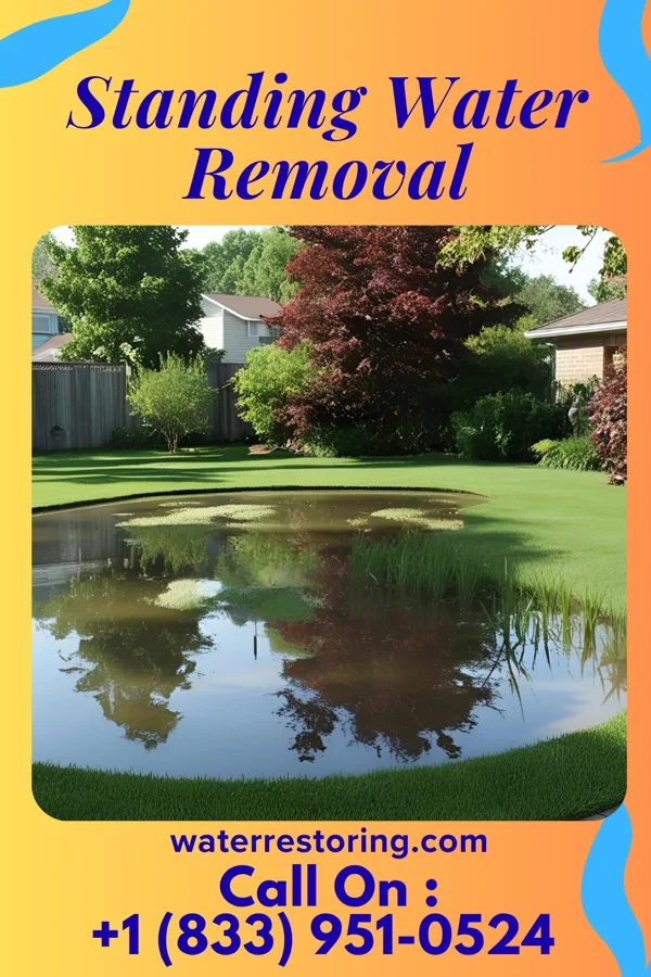 Standing Water Removal in Snyder, OK